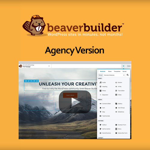 Beaver Builder 插件（专业版）