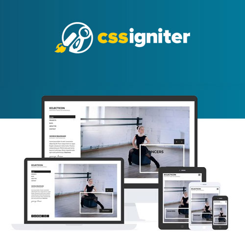 CSS Igniter Eclecticon $4.49 (91% Reducere) | PluginTheme.net