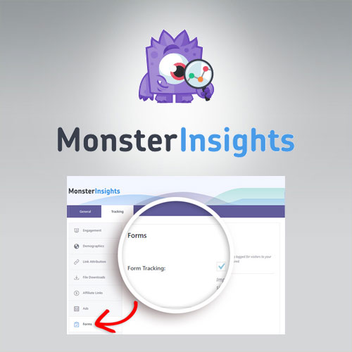 MonsterInsights - Forms Tracking Addon