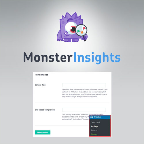 MonsterInsights - Performance Addon