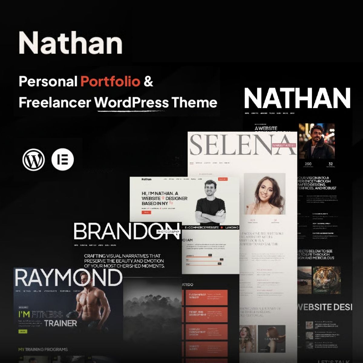 Nathan - Personal Resume CV Portfolio WordPress Theme