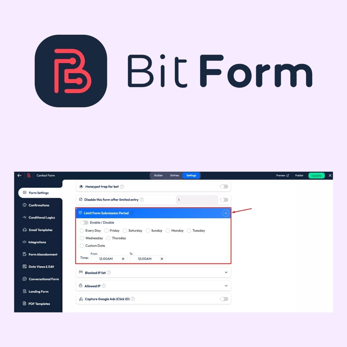 Bit Form Pro