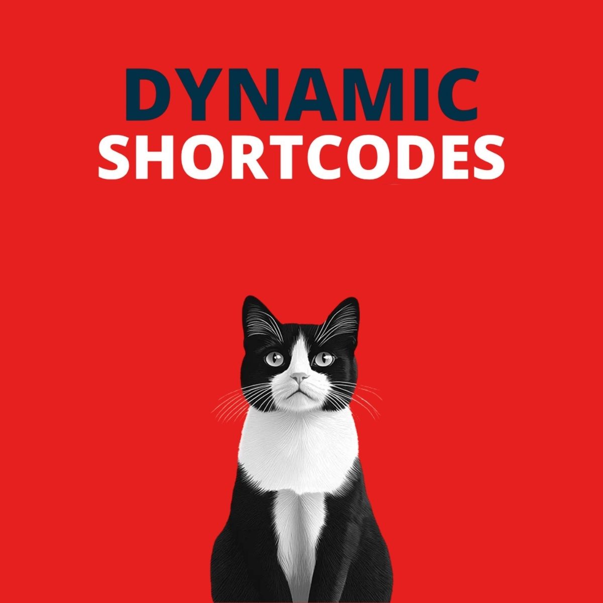 Dynamic Shortcodes