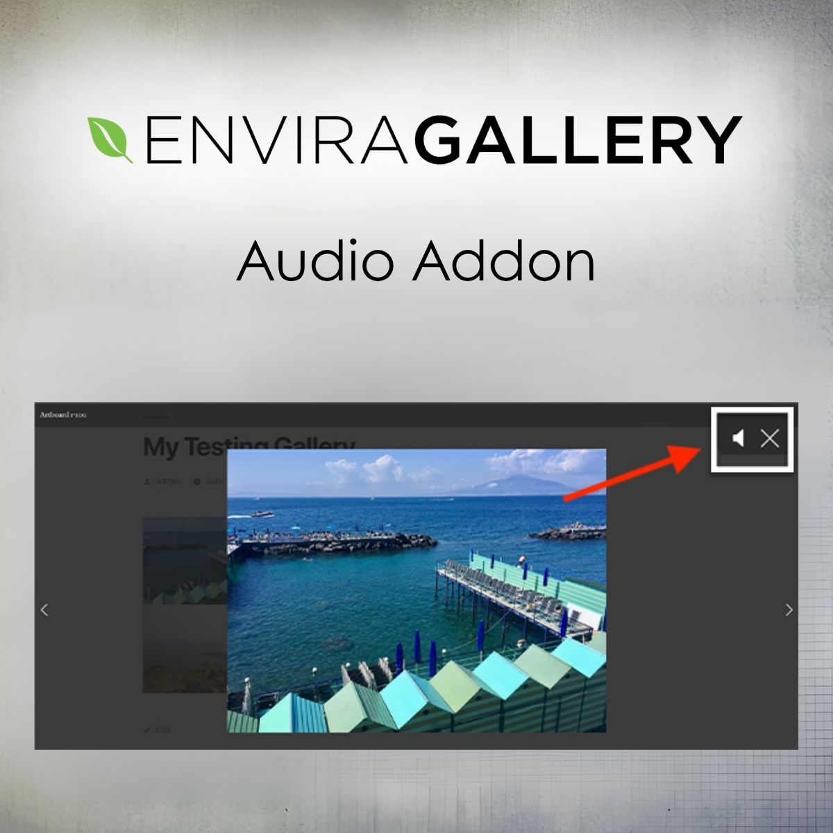 Envira Gallery - Audio Addon