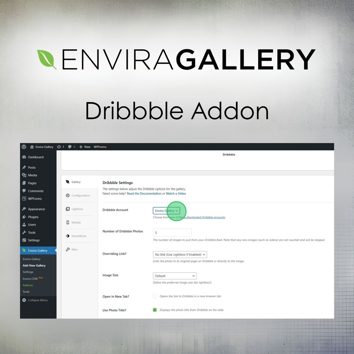 Envira Gallery - Dribbble Addon