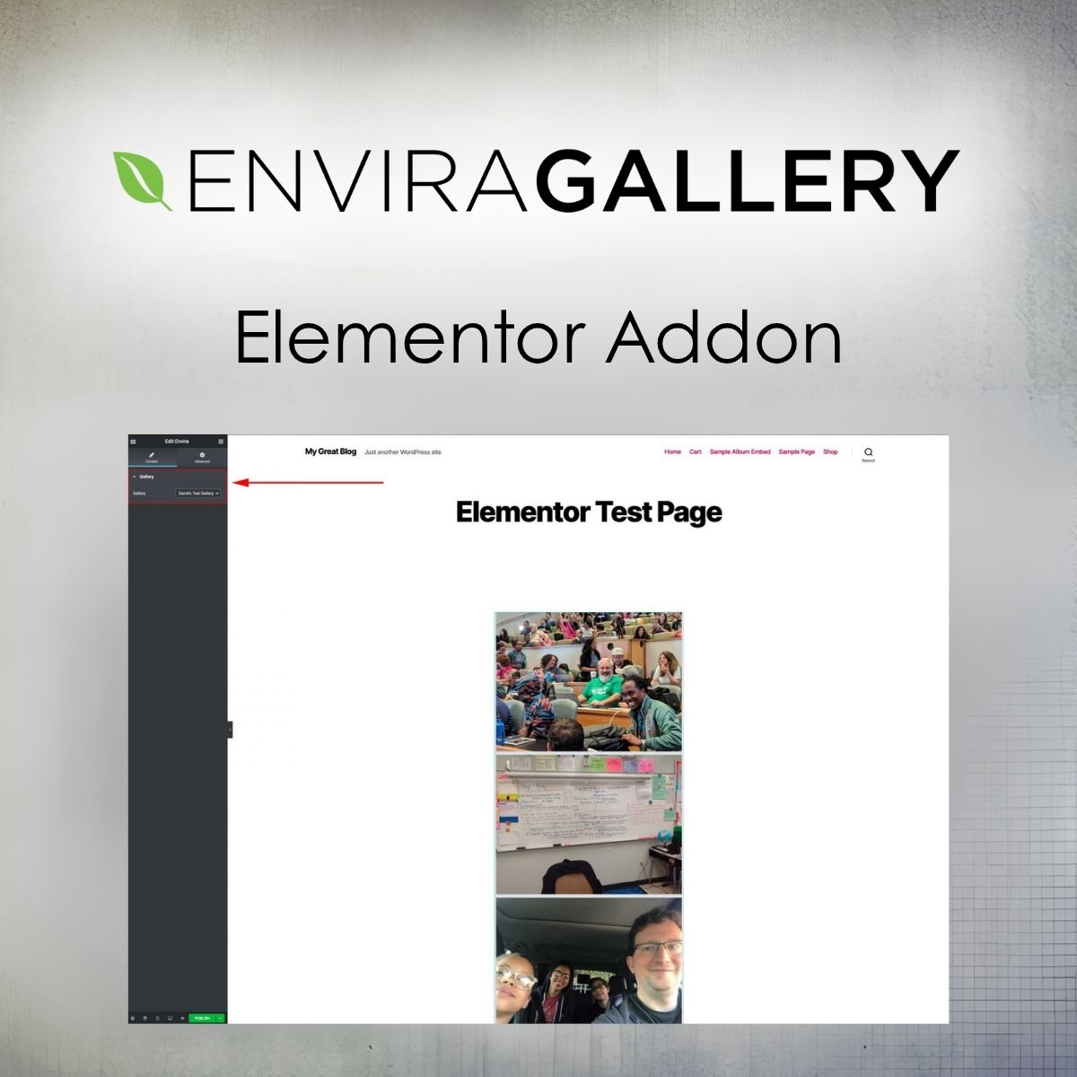 Envira Gallery - Elementor Addon