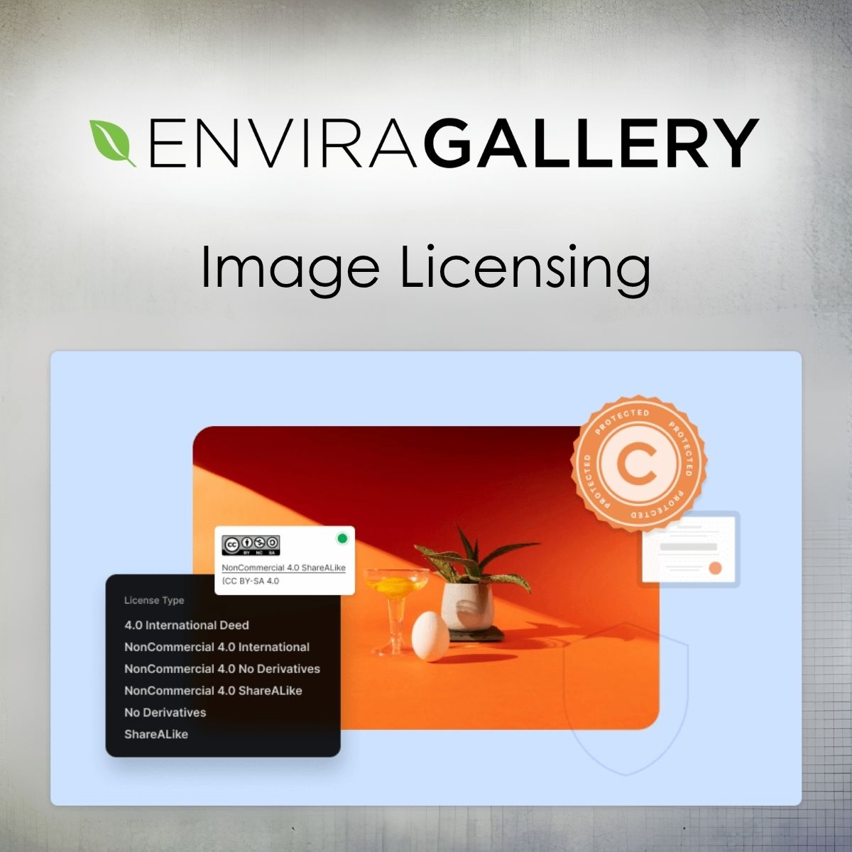 Envira Gallery - Image Licensing