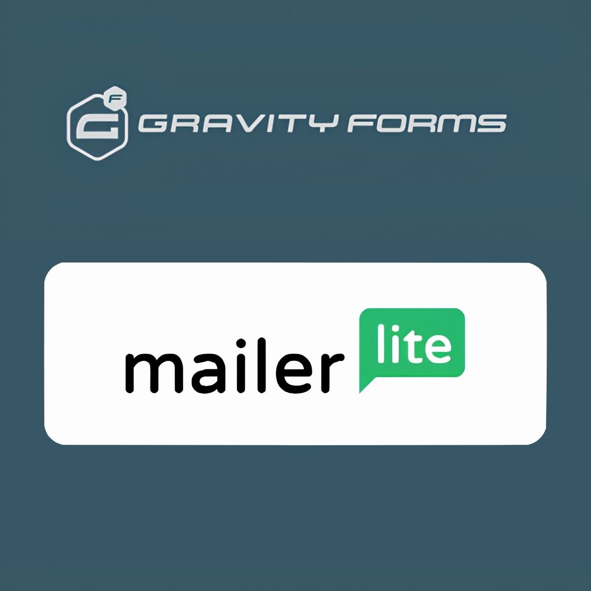 Gravity Forms MailerLite Add-On