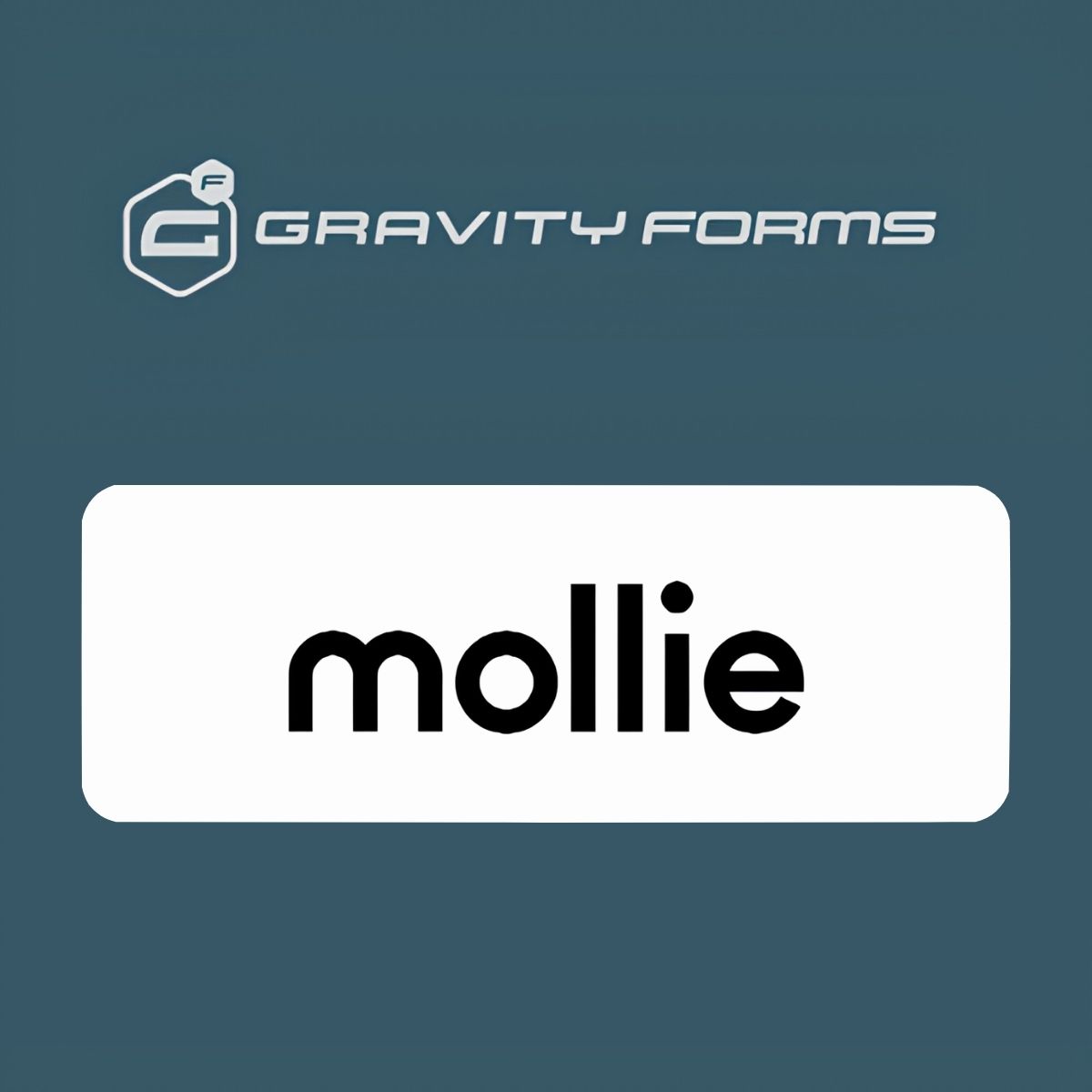 Gravity Forms Mollie Add-On