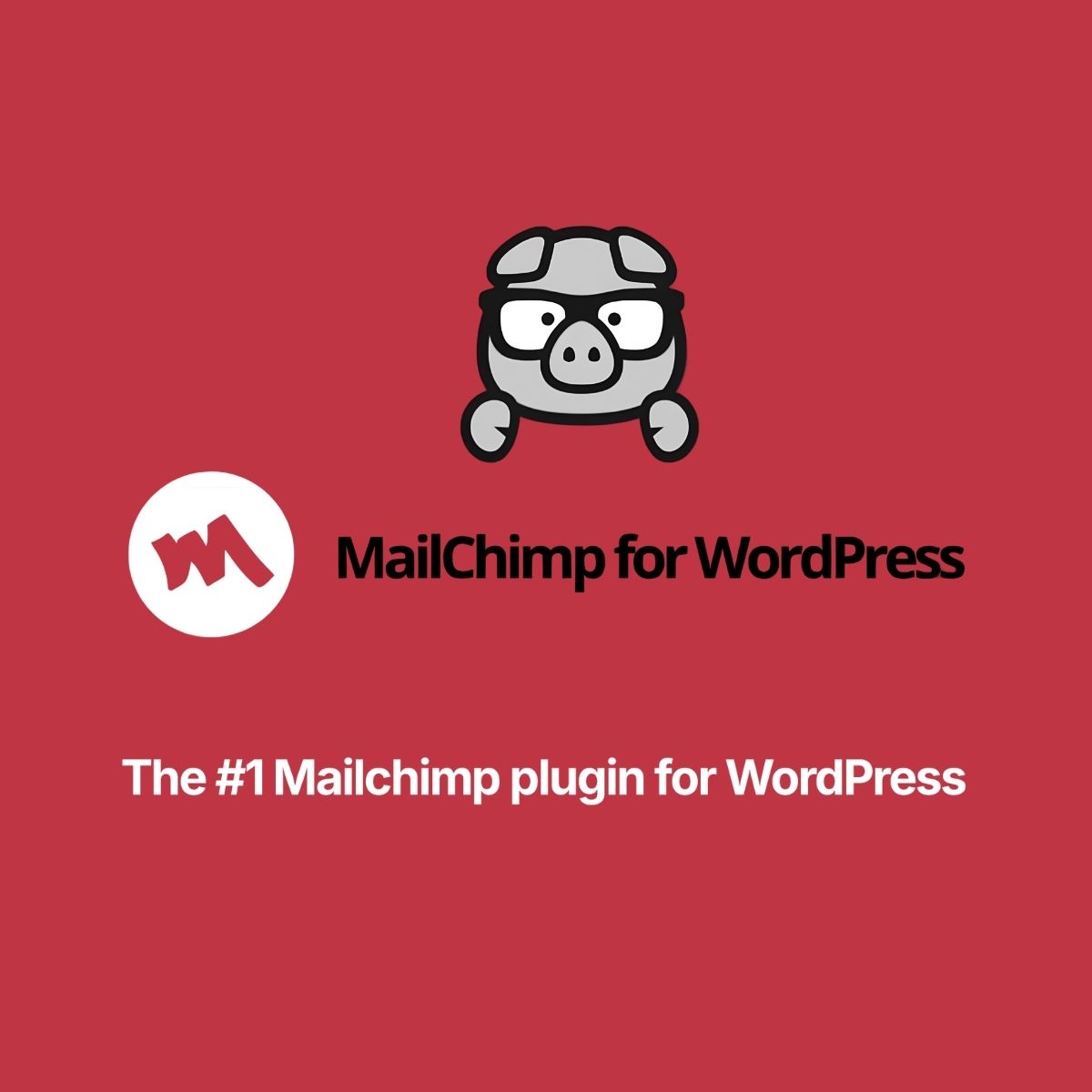 MC4WP: Mailchimp for WordPress Premium