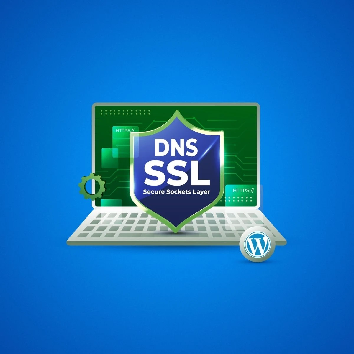 DNS & SSL Setup Package