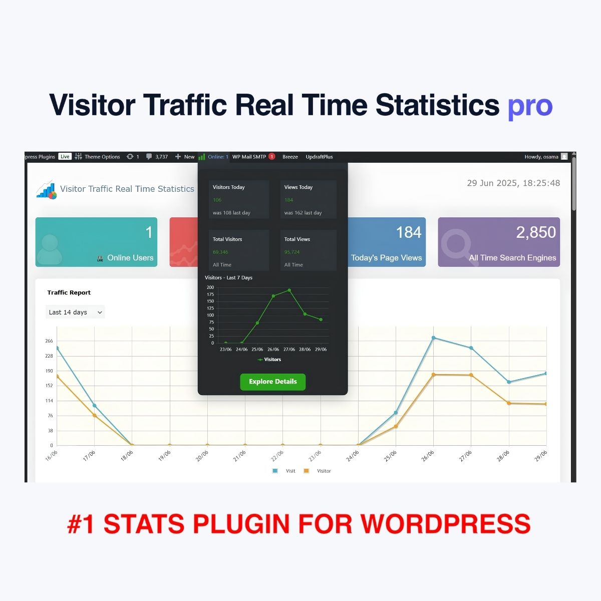 Visitor Traffic Real Time Statistics pro